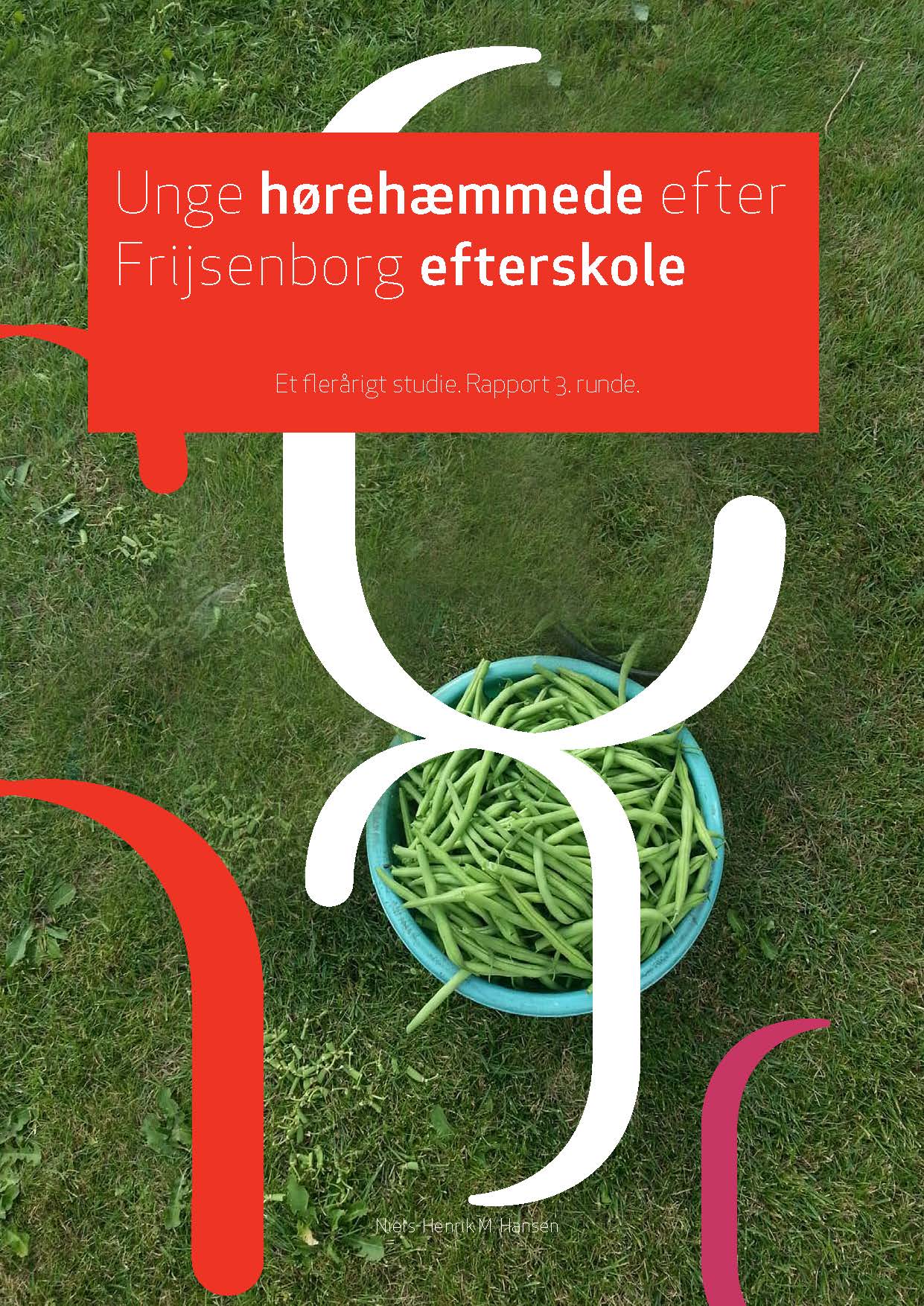 Unge hørehæmmede efter Frijsenborg efterskole (delrapport 3)