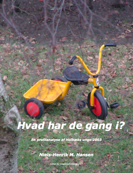 Hvad har de gang i? - en profilanalyse af Holbæks unge